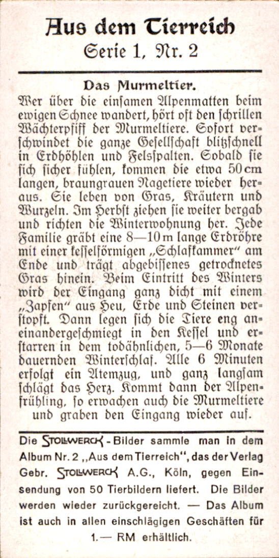 /Germany/Stollwerck/Animals/DE_Stollwerck_1932_Aus dem Tierreich (6).jpg